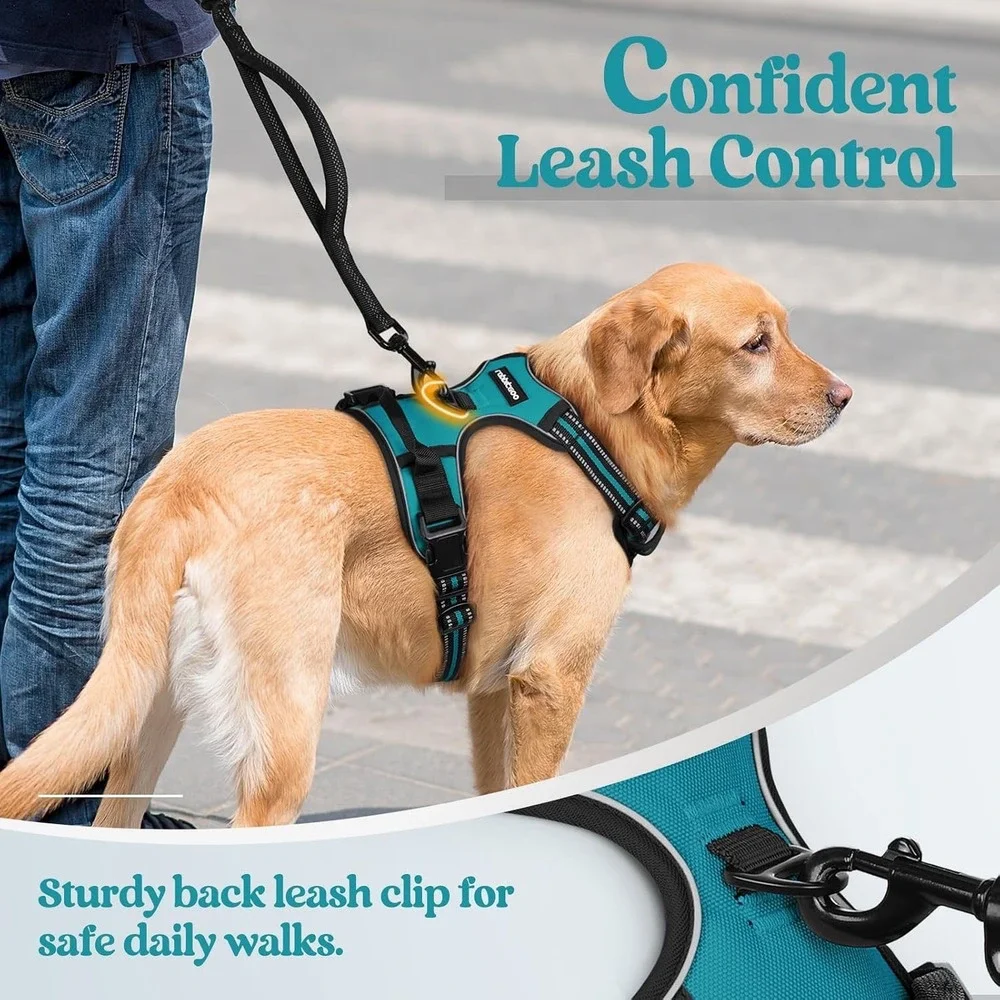Rabbitgoo Dog Harness XS Teal No Pull Reflective Mesh Adjustabl Walking Vest Pet
